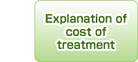 Explanation of cost of treatment