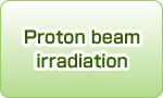 Proton beam irradiation